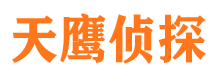 东川市侦探公司